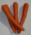 carottes calories