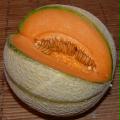 melon calories